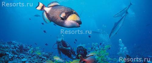 Bora-Bora Lagoon Resort & Spa 23